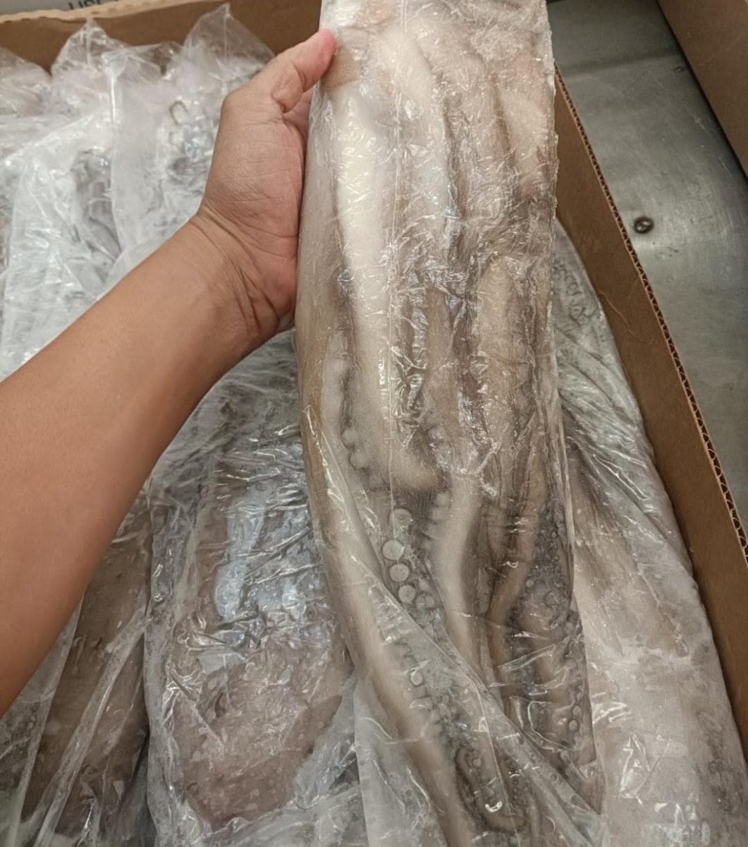 Pulpo Maya Congelado